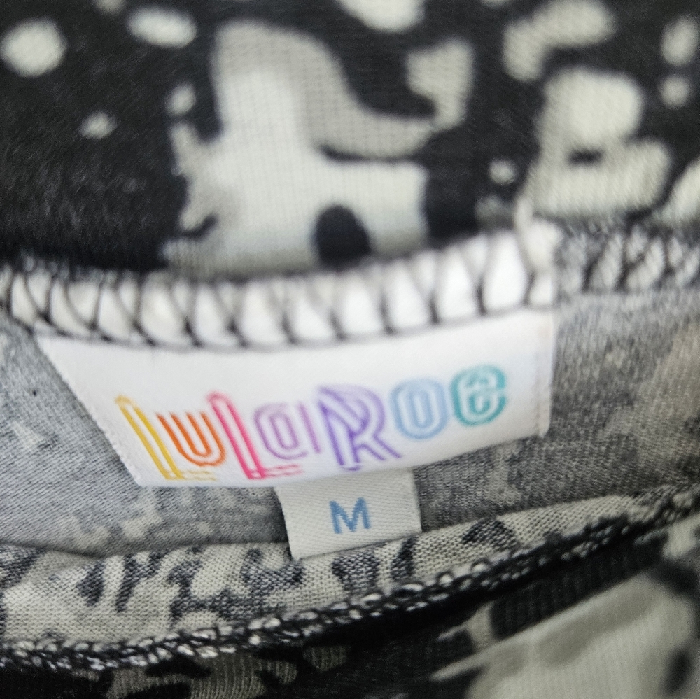 Lularoe maxi skirt - Picture 5 of 6
